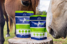 Load image into Gallery viewer, Metabolize®