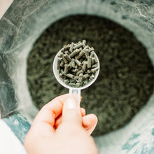 Load image into Gallery viewer, Digestive VM