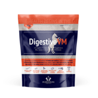 Load image into Gallery viewer, Digestive VM