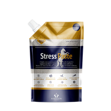 Load image into Gallery viewer, Stress Paste